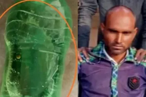 हरदोई: सांप के डसने के बाद जिंदा सांप को बोतल में लेकर मेडिकल कॉलेज पहुंचा युवक, इलाज के दौरान मौत