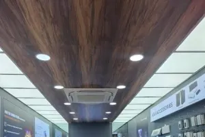 एसूस ने दिल्ली के द्वारका में खोला नया एक्सक्लूसिव स्टोर, रिटेल नेटवर्क विस्तार पर जोर